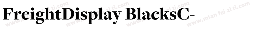 FreightDisplay BlacksC字体转换